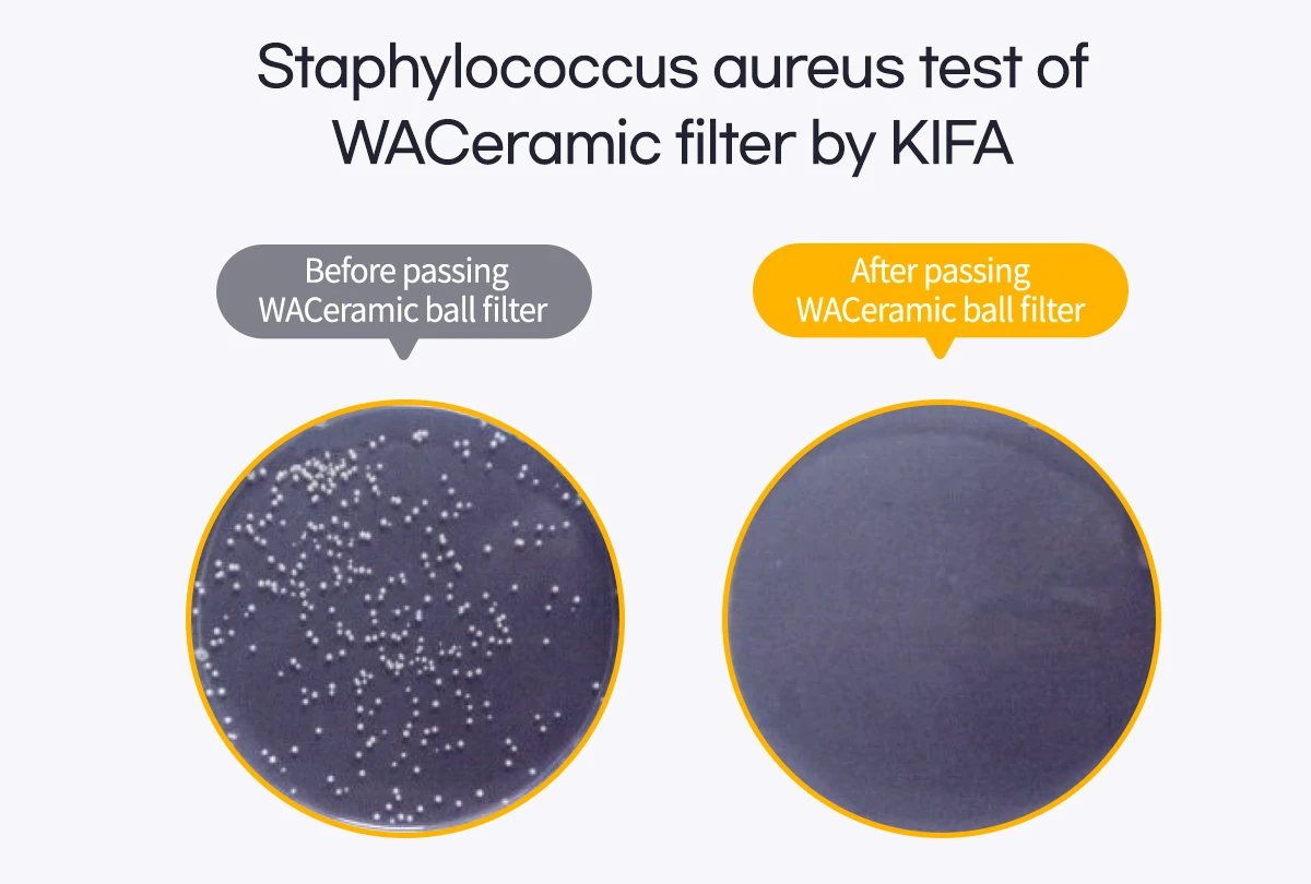 Anti Bacterial Filter StaphylococcusTest Report Photo By KIFA